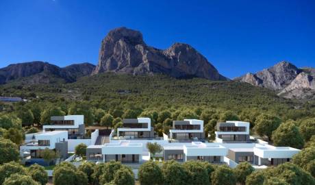 Exclusively designed villas surrounded by nature, Alicante, Spain